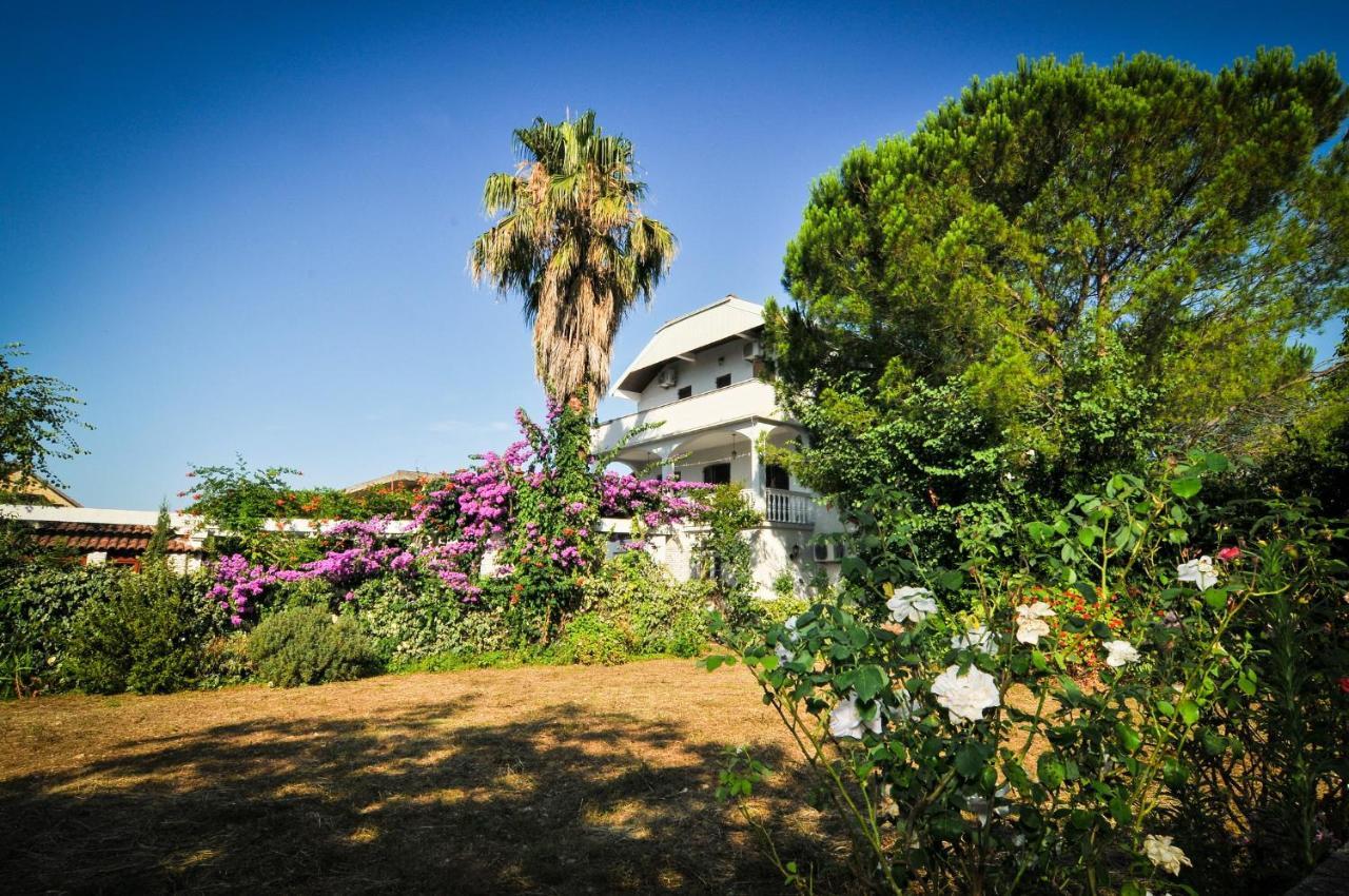 Apartments Villa Stankovic Tivat Exterior foto